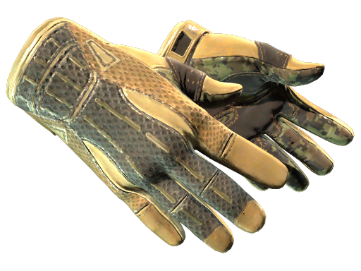 ★ Sport Gloves | Arid